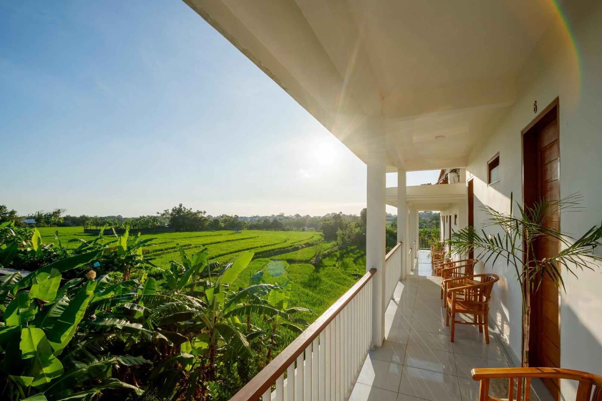 Eden Guest House Canggu Eksteriør bilde