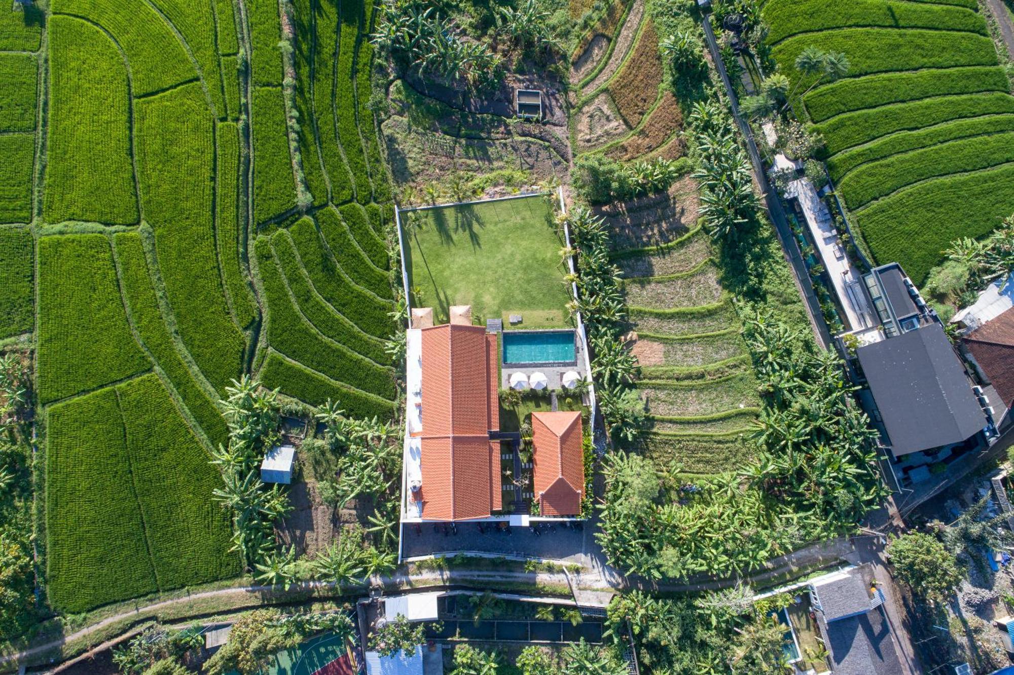 Eden Guest House Canggu Eksteriør bilde